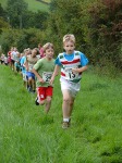 Click on thumbnail for larger photo