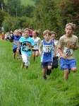 Click on thumbnail for larger photo