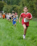Click on thumbnail for larger photo
