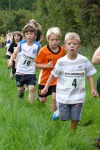 Click on thumbnail for larger photo
