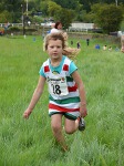 Click on thumbnail for larger photo
