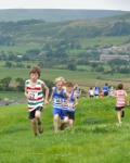 Click on thumbnail for larger photo