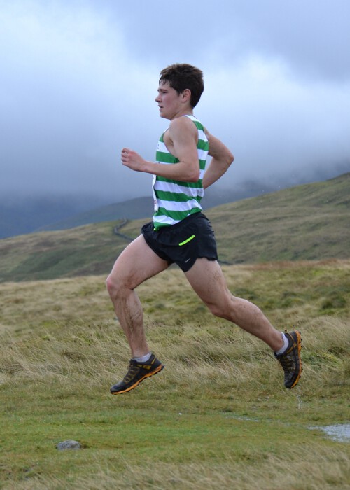 Photo DSC_7519.jpg copyright &copy; 2013 Dave Woodhead