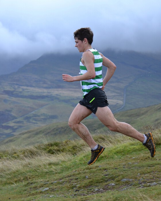 Photo DSC_7521.jpg copyright &copy; 2013 Dave Woodhead