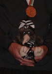 Click on thumbnail for larger photo