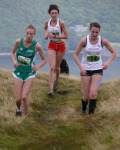 Click on thumbnail for larger photo