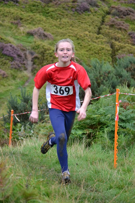 Photo DSC_5884.jpg copyright &copy; 2013 Dave Woodhead