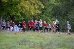 Click on thumbnail for larger photo