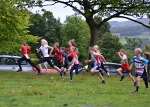 Click on thumbnail for larger photo