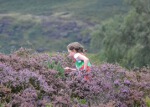 Click on thumbnail for larger photo