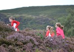 Click on thumbnail for larger photo
