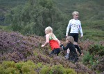 Click on thumbnail for larger photo