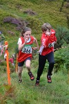 Click on thumbnail for larger photo