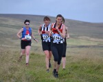 Click on thumbnail for larger photo