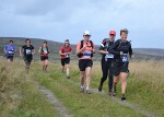 Click on thumbnail for larger photo