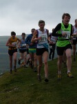 Click on thumbnail for larger photo