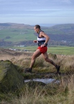 Click on thumbnail for larger photo