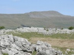 Click on thumbnail for larger photo