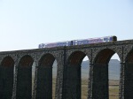 Click on thumbnail for larger photo