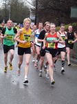 Click on thumbnail for larger photo