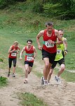 Click on thumbnail for larger photo