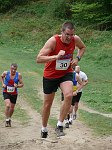 Click on thumbnail for larger photo