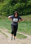 Click on thumbnail for larger photo