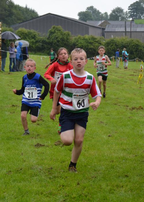 Photo DSC_0651.jpg copyright © 2025 Dave Woodhead