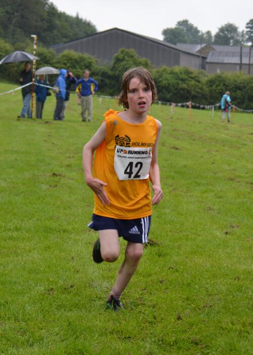 Photo DSC_0663.jpg copyright © 2025 Dave Woodhead