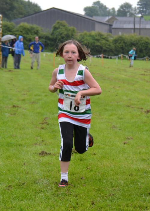 Photo DSC_0666.jpg copyright © 2025 Dave Woodhead