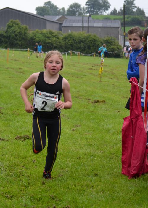 Photo DSC_0670.jpg copyright © 2025 Dave Woodhead