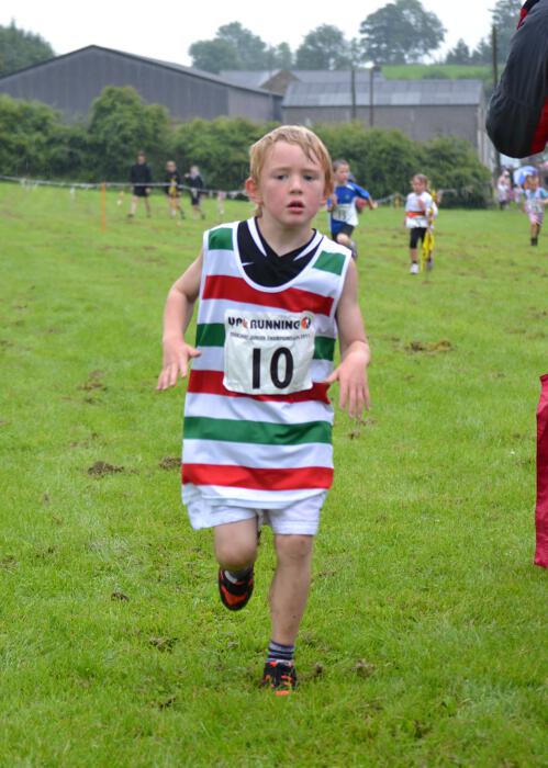 Photo DSC_0678.jpg copyright © 2025 Dave Woodhead