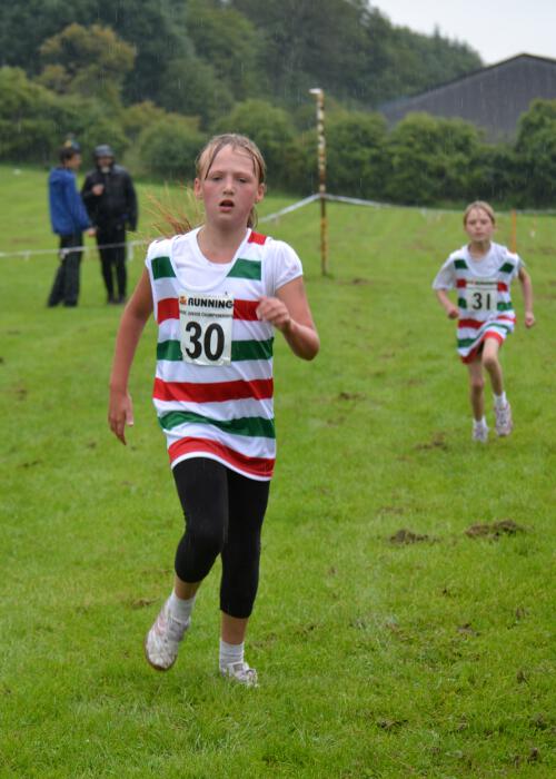 Photo DSC_0695.jpg copyright © 2025 Dave Woodhead