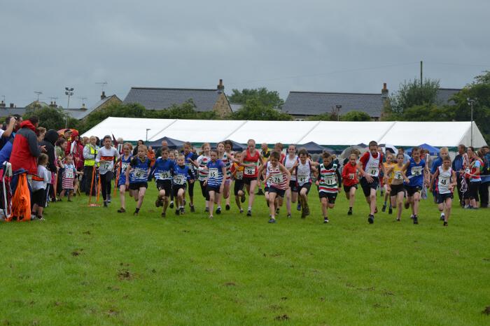 Photo DSC_0722.jpg copyright &copy; 2026 Dave Woodhead