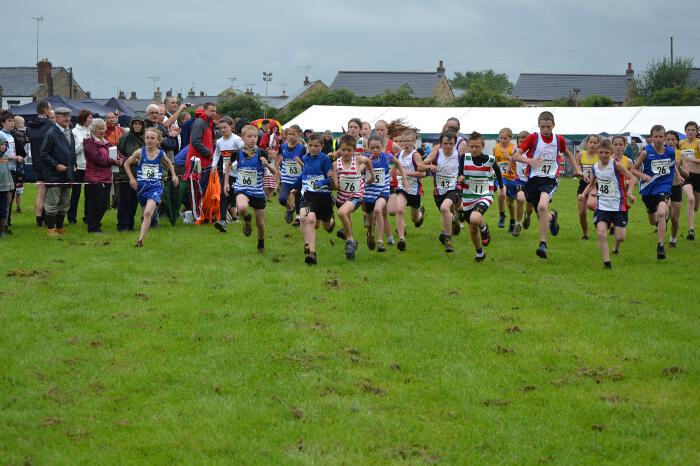 Photo DSC_0725.jpg copyright &copy; 2025 Dave Woodhead