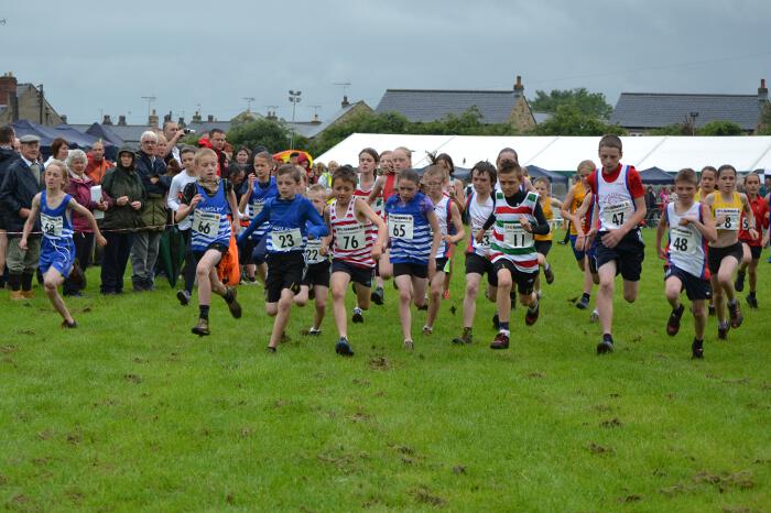 Photo DSC_0726.jpg copyright &copy; 2025 Dave Woodhead