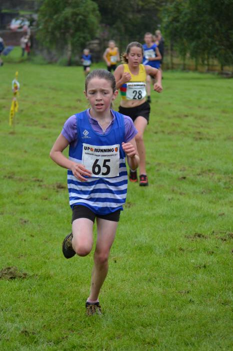 Photo DSC_0785.jpg copyright &copy; 2025 Dave Woodhead