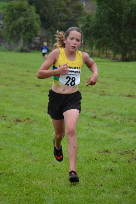 Photo DSC_0786.jpg copyright &copy; 2026 Dave Woodhead