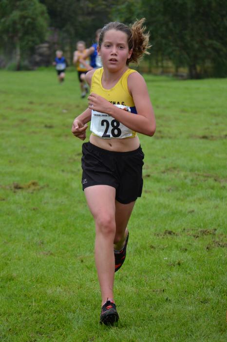 Photo DSC_0787.jpg copyright © 2025 Dave Woodhead