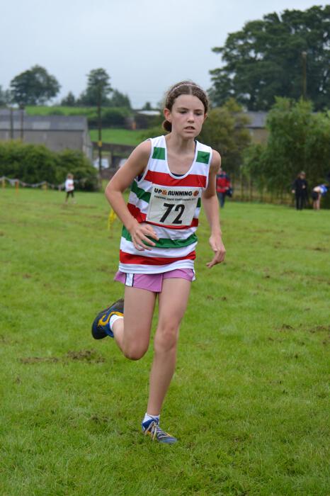 Photo DSC_0820.jpg copyright © 2025 Dave Woodhead