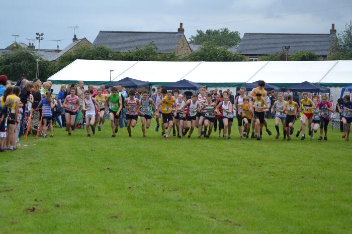 Photo DSC_0851.jpg copyright © 2025 Dave Woodhead