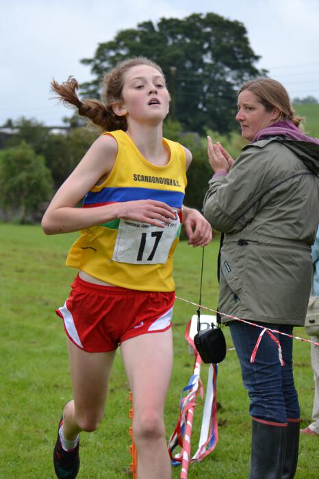 Photo DSC_0876.jpg copyright &copy; 2026 Dave Woodhead