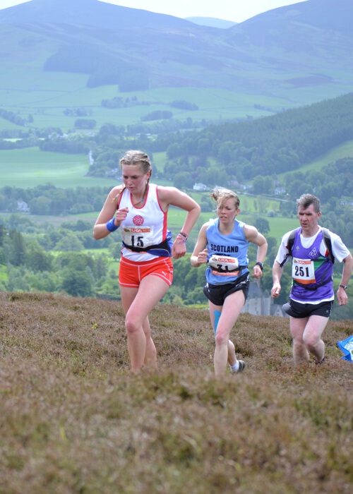 Photo DSC_0342.jpg copyright © 2025 Dave Woodhead