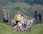 Click on thumbnail for larger photo