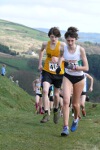 Click on thumbnail for larger photo