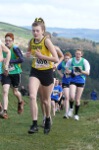 Click on thumbnail for larger photo