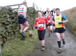 Click on thumbnail for larger photo