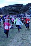 Click on thumbnail for larger photo