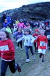 Click on thumbnail for larger photo