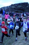Click on thumbnail for larger photo